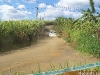 100B1674_tn_tn