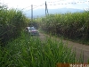 100B1680_tn_tn