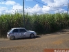 100B1763_tn_tn.JPG