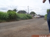 100B1841_tn_tn.JPG