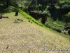 Photos de la ballade au Domaine Vidot – Montvert les hauts