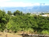 Photos de la ballade au Domaine Vidot – Montvert les hauts