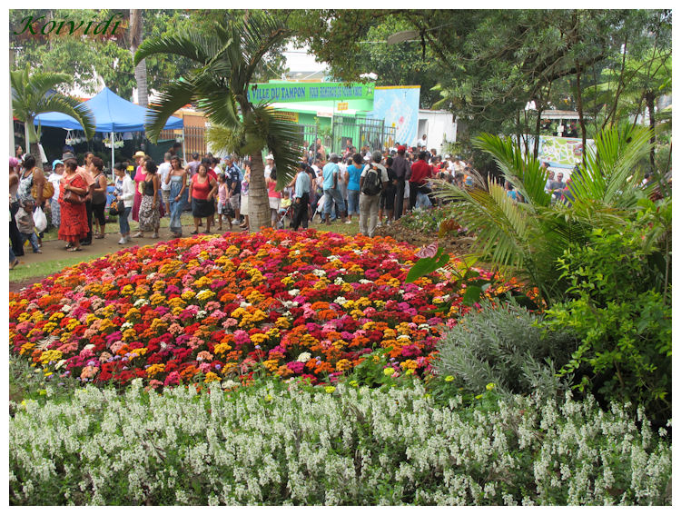 parc-jean-de-cambiaire-koividijpg