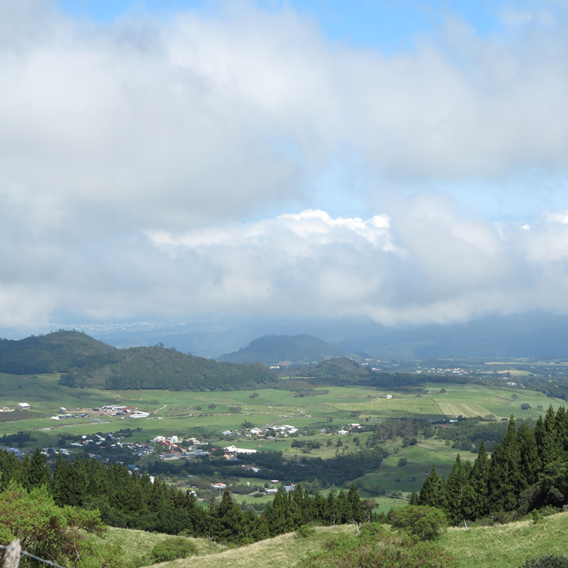 Piton Nez de Boeuf en passant par les Trous Blancs