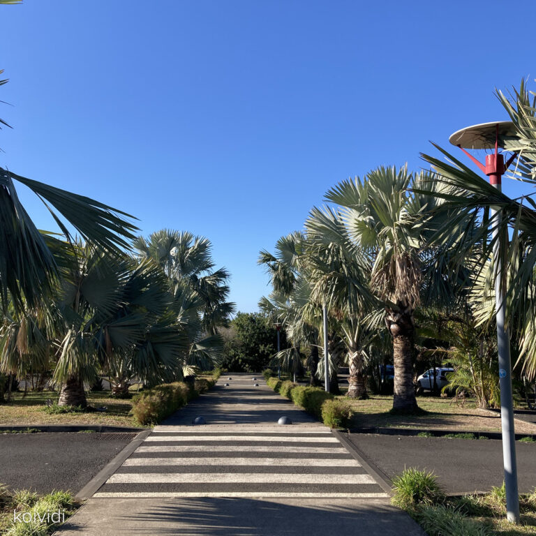 Visite du Parc des Palmiers